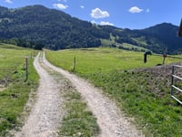 Chienberg da Kobelwald