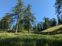 Col des Planches desde Martigny