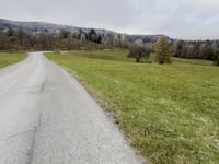 Kordíky von Tajov