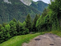 La Scia