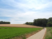 Putherweg via Stokselweg