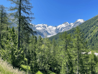 Passo del Bernina from Samedan
