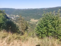 Col de la Faucille von Mijoux