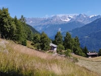 Forcola depuis Trangia