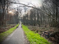 Forêt de Carnelle desde Viarmes
