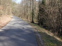 Fischbachstrasse / Süssendel von Vicht