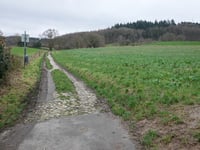 Keltenstrasse von Vaalserquartier