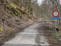 Bois de Mangoister