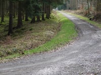 Bois de Mangoister