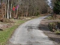 Bois domanial de la Hoëgne via Solwaster