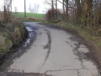 Freyenter Wald über Triftweg