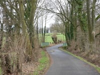 Bierstrauch da Oberforstbacher Bach