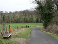 Bierstrauch da Oberforstbacher Bach