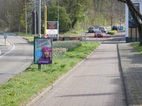 Dassenlaan via Frans Erenslaan