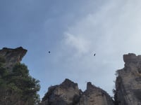La Maxanne von Les Vignes