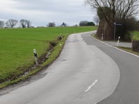 Eich über Niederforstbacher Strasse