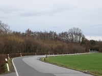 Eich über Niederforstbacher Strasse