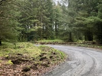 Glendine Gap Oost