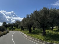 Falerna über Castiglione Marittimo