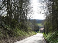 Sasserotte