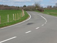 Sasserotte