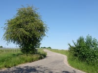 Heugdenweg von Etenaken