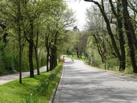 Blumenrath über Blumenrather Strasse
