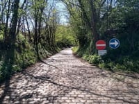 Grote Molenweg from Herent
