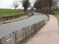 Rondelenstraat über Duivenstraat