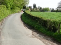 Côte de Jehanster desde Polleur