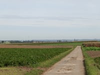 Weigaerdsteeg
