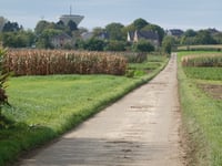Weigaerdsteeg