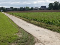 Weigaerdsteeg