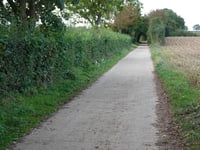 Bosstraat über Kammerdel