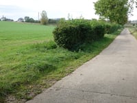 Bosstraat über Kammerdel
