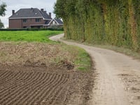 Bosstraat über Kammerdel