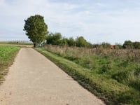 Achter Het Broek über Kammerdel