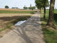 Op den Drinkaert da Tongersesteenweg