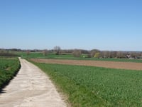 Sinckestraat via Boelhofweg