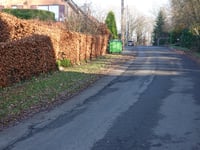 Bois de Mariomont via Rue Victor Delrez