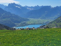 Hinter Höhi von Weesen