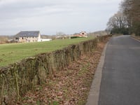 Am Busch z Eupen