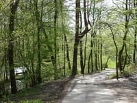 Nivezé Bas / Haut Balmoral