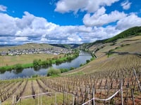 Zummethöhe von Trittenheim