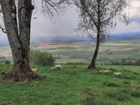 Saint Walfroy von Margut