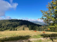 Grand Ventron da La Bresse via Col de la Vierge