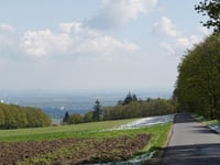 Heidestrasse von Strass