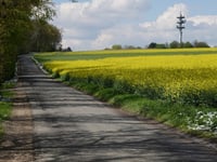 Heidestrasse über Am Schafberg