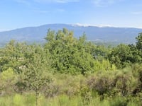 Blauvac von Mazan