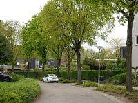 Steve Bikostraat
